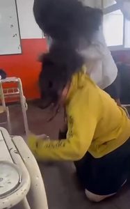 Bulling Perico