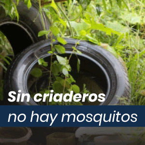 banner mayo 2026 mosquitos